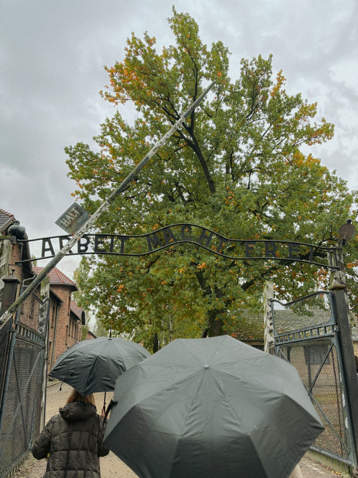 Gedenkfahrt nach Auschwitz-Birkenau