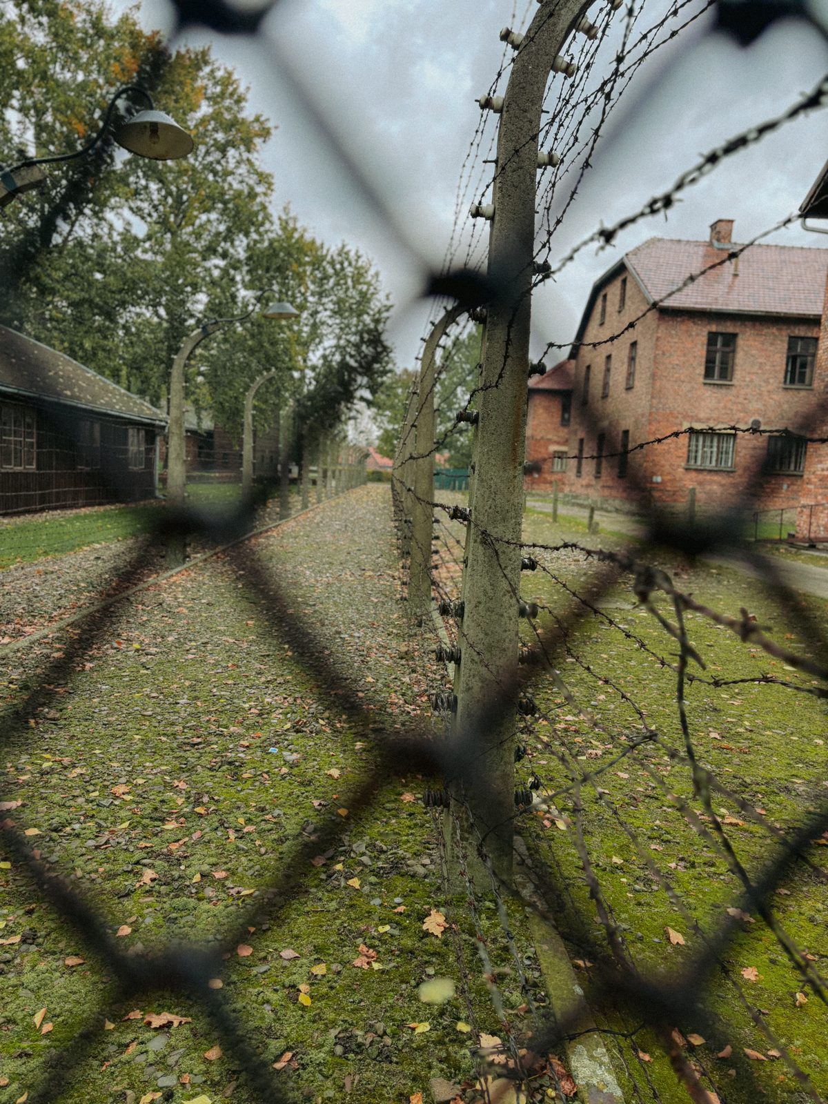 Gedenkfahrt nach Auschwitz-Birkenau