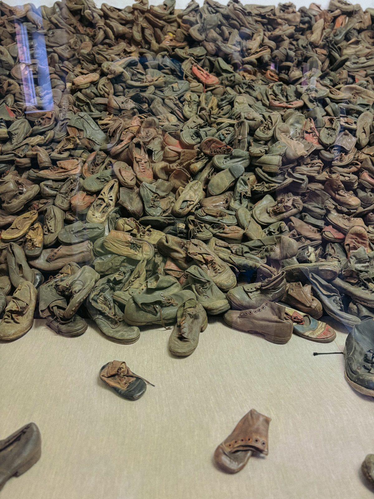 Gedenkfahrt nach Auschwitz-Birkenau